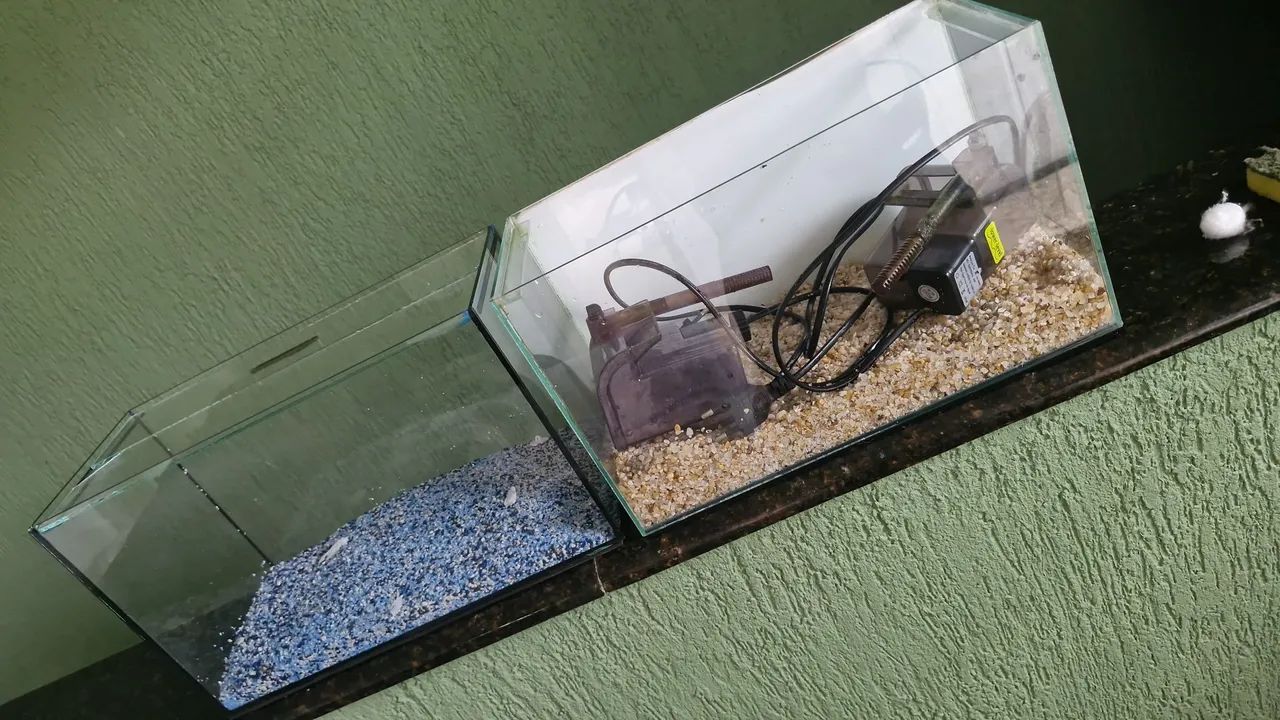 Aquarios 13 litros para quem quer montar seu primeiro  aquario