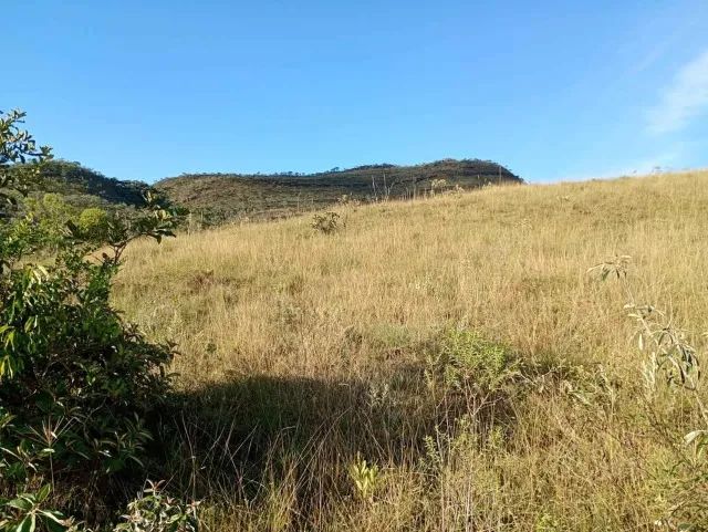 Sítio 10 Hectares com Cachoeira e Rio  - Foto 4