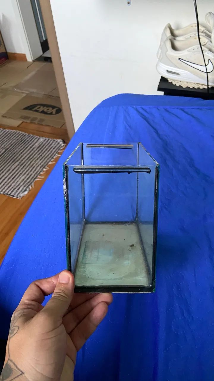 Aquário para Beta  - Foto 3