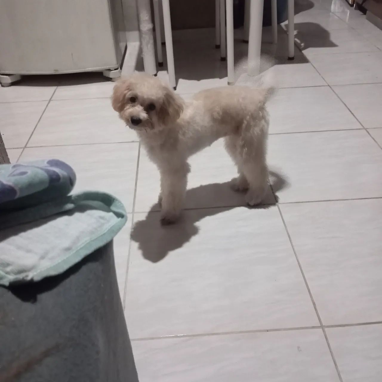 Doação  - Foto 2