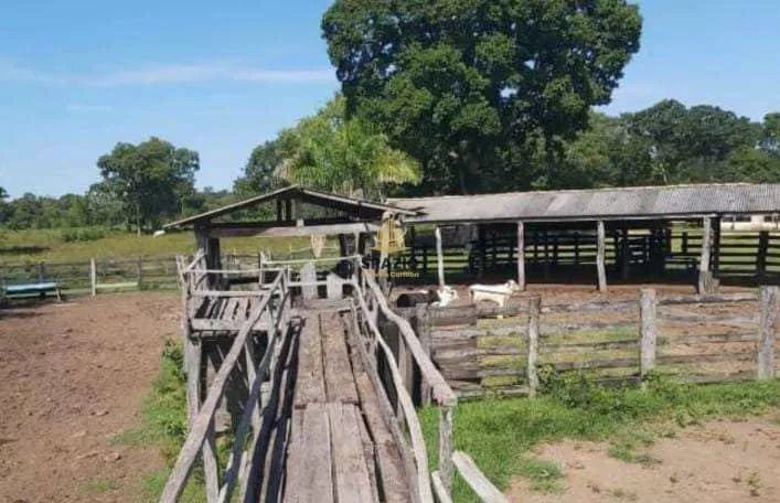 Fazenda, Centro, Poconé - R$ 9 mi, Cod: 180 - Foto 5