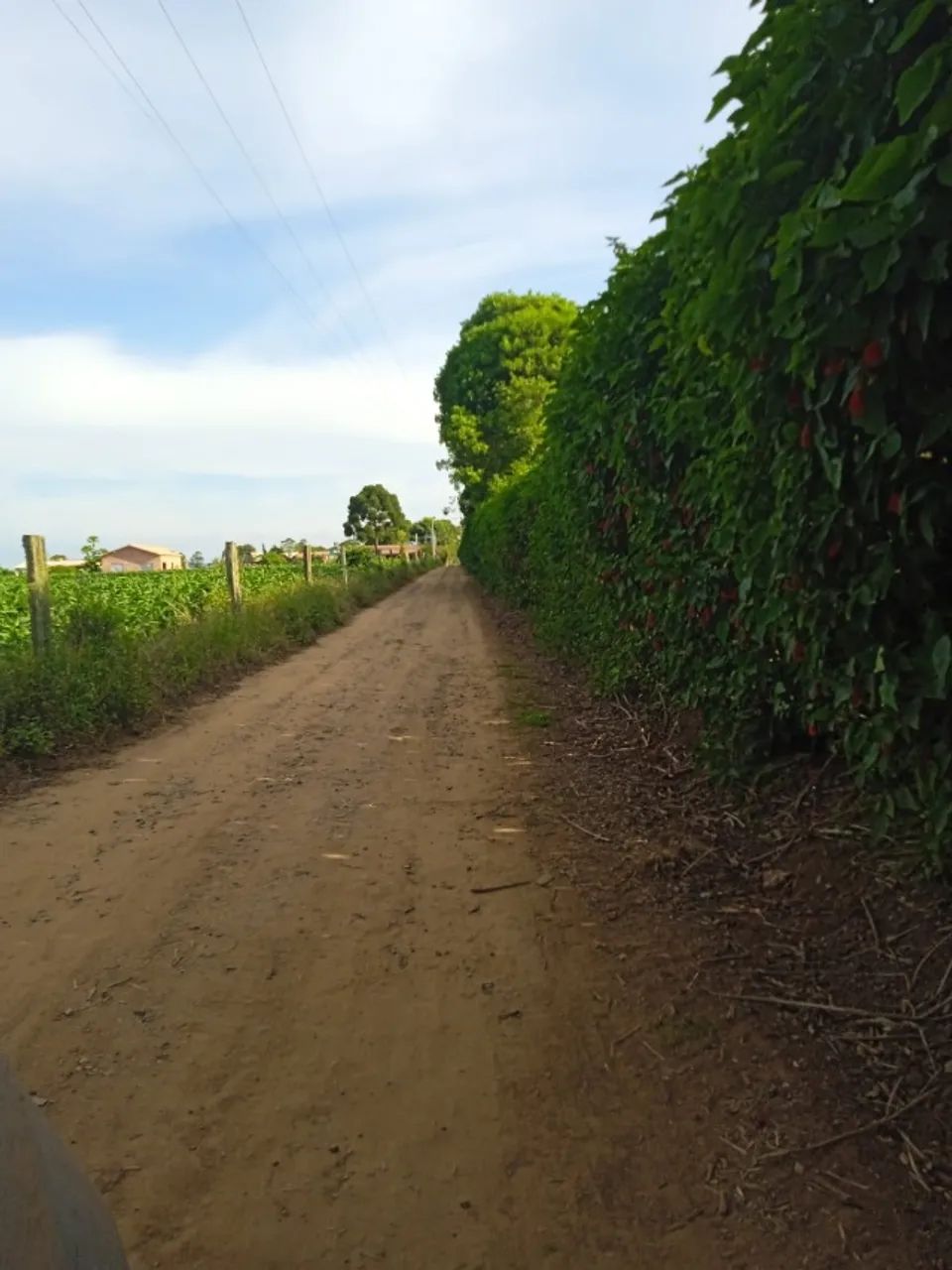 Foto - São Miguel Arcanjo - 