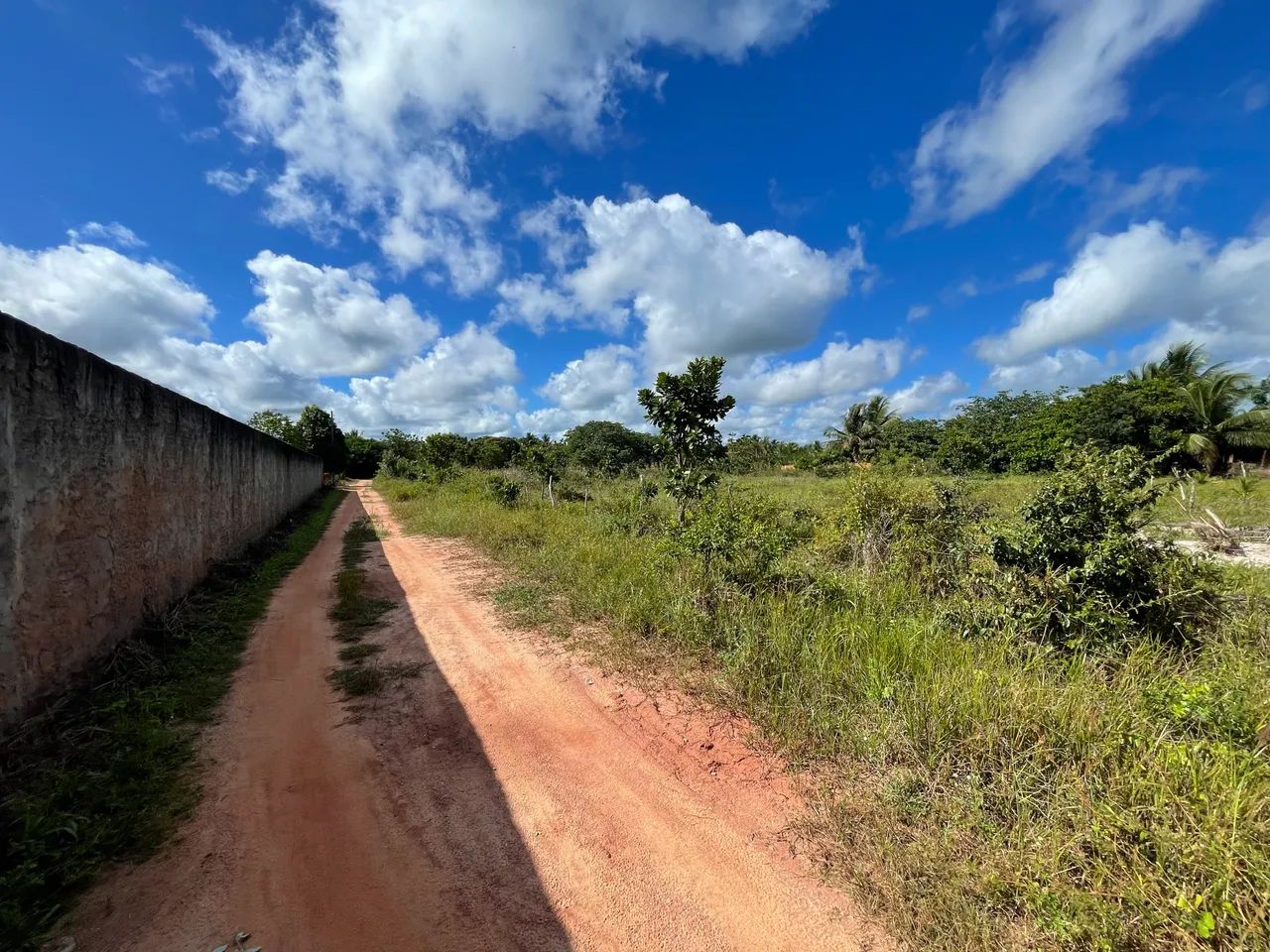Alugo terreno Em Itarema, próximo a CE085 - Foto 2