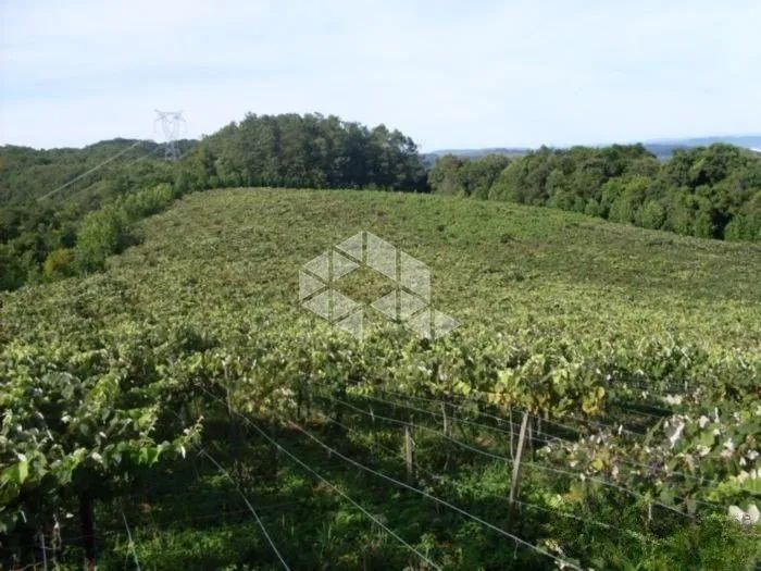 Área Rural com TERRAS PRODUTIVAS à venda em Coronel Pilar/RS