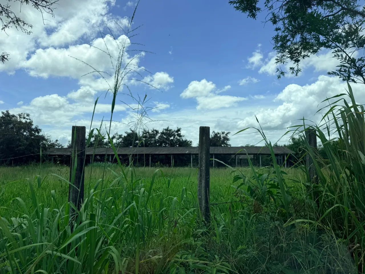  ÁREA 23HA NA BR232 VITÓRIA S.ANTAO. - Foto 3