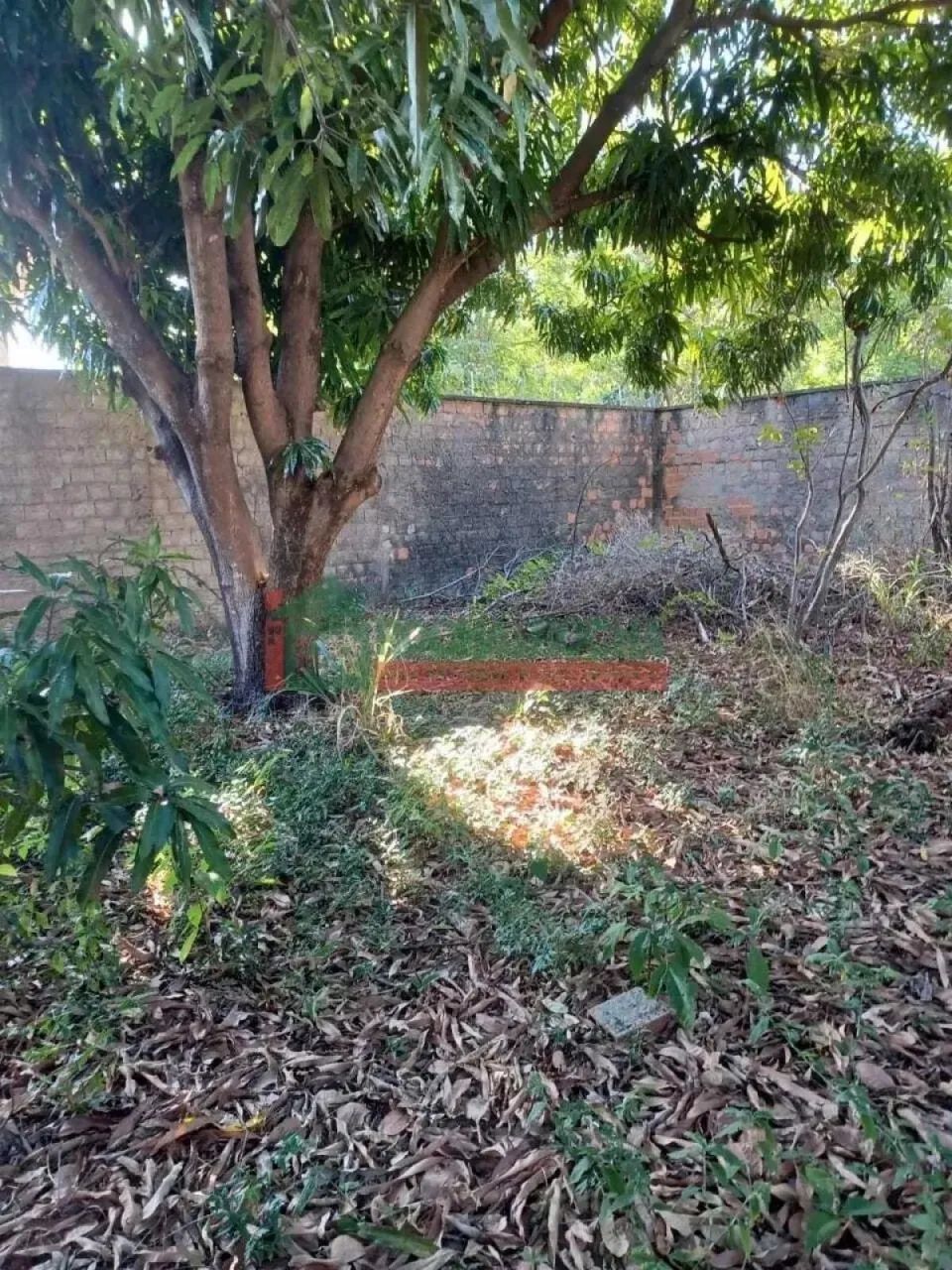 Terreno para alugar com 151,91 metros quadrados no SANTA ISABEL - Teresina - Piauí - Foto 4