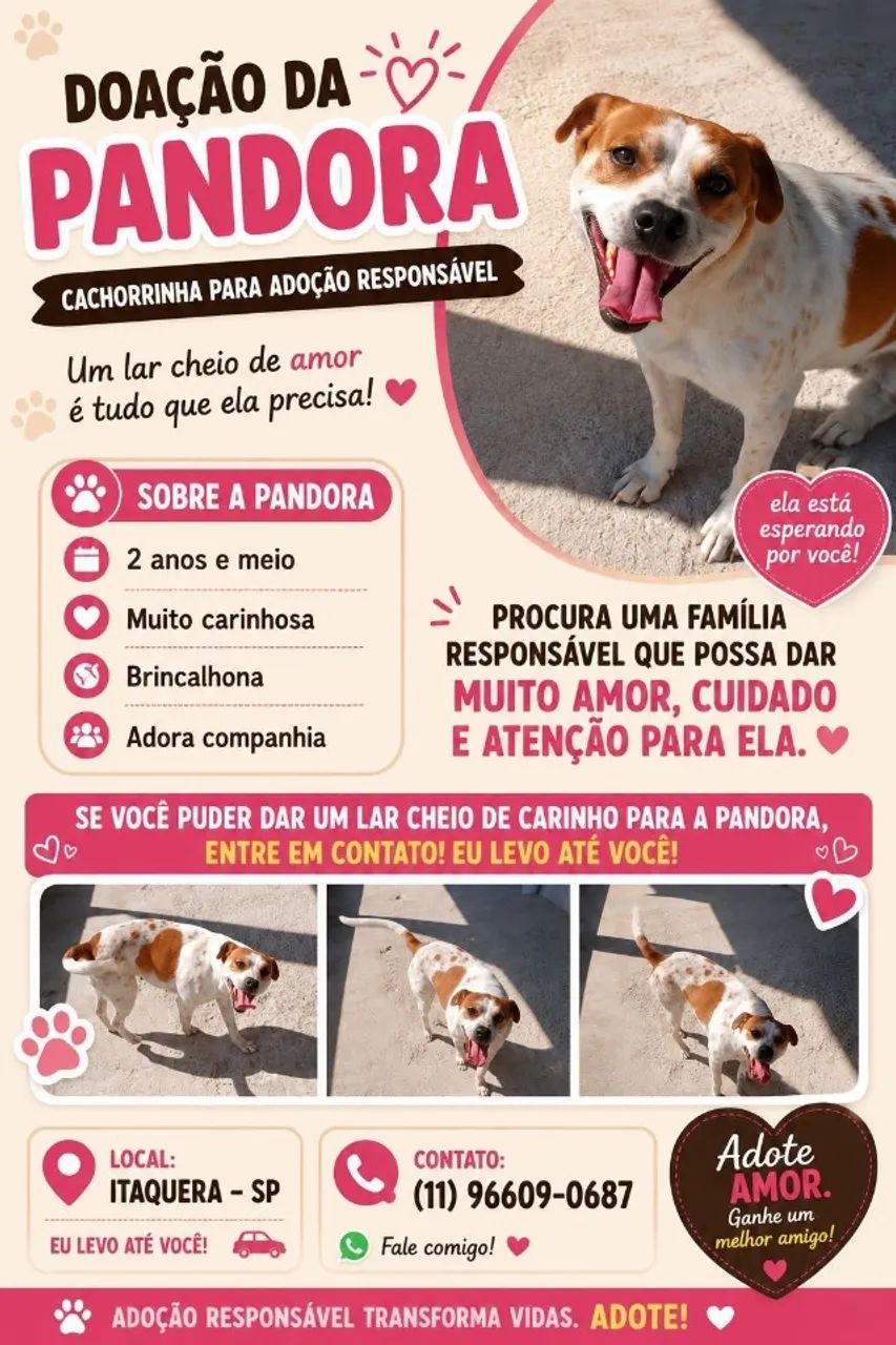 ? ADOÇÃO RESPONSÁVEL - Pandora ?