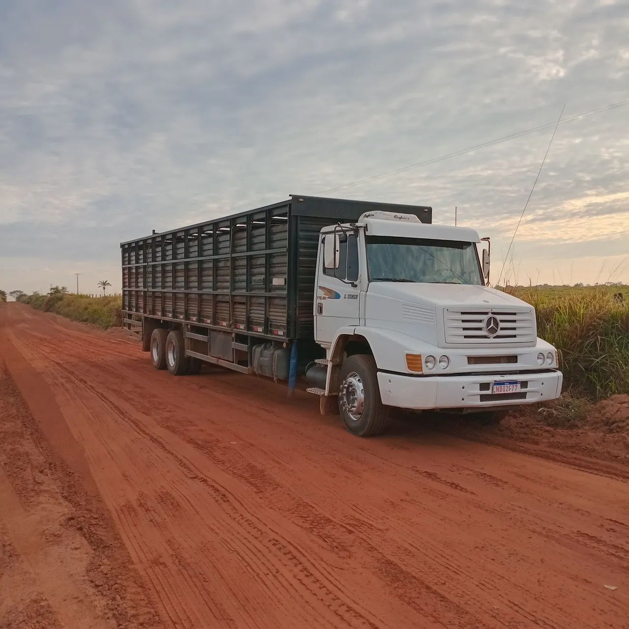 Boiadeiro a venda  - Foto 4