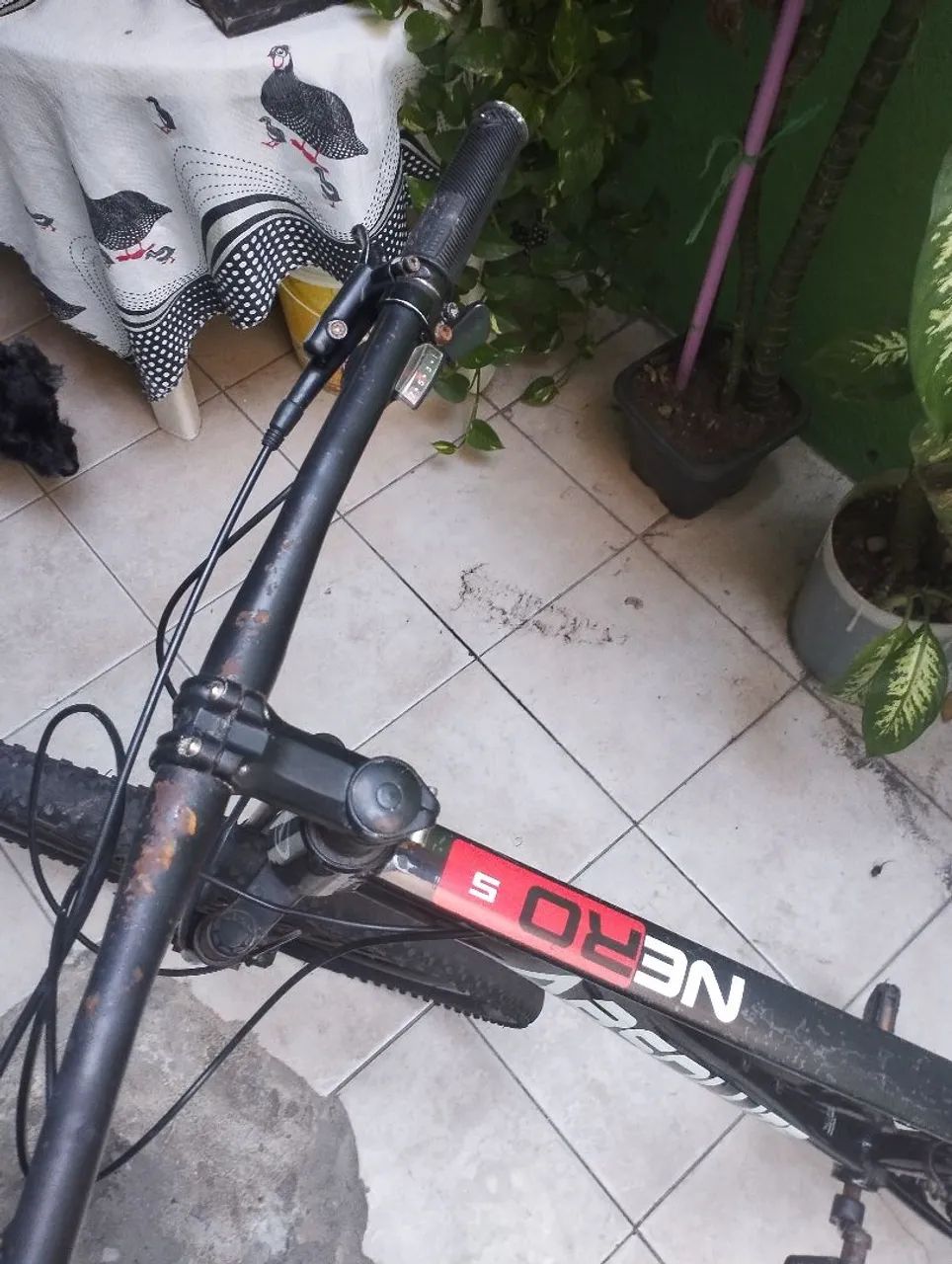 BICICLETA ABSOLUTE - Foto 5