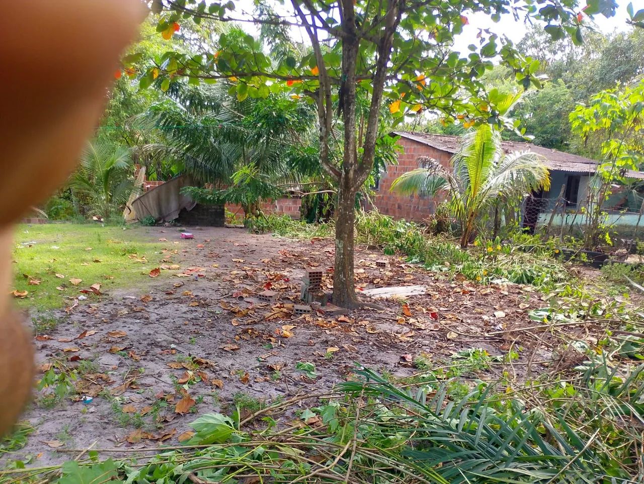 Terreno em um sítio para venda  - Foto 3