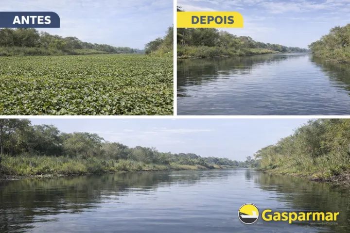 Limpeza de Lago, Represa e Vegetação Aquática - Foto 3