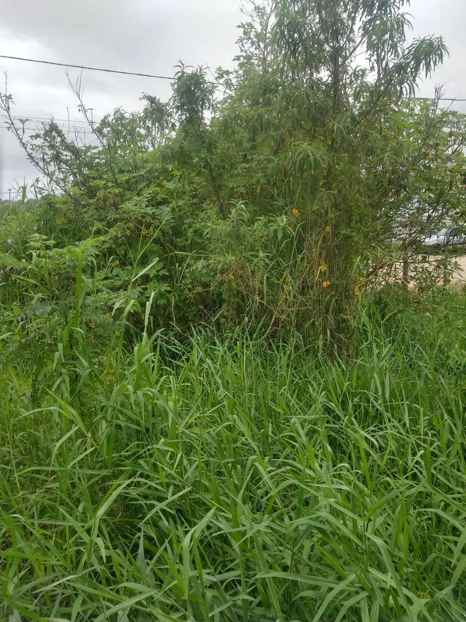 Foto - Suzano - Cidade Boa Vista