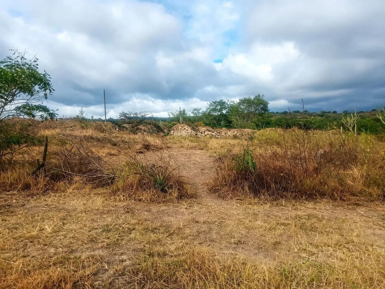 Terreno......... - Foto 3
