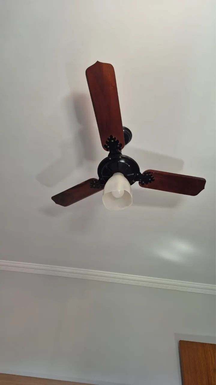 3 Ventiladores de teto 50 reais cada 