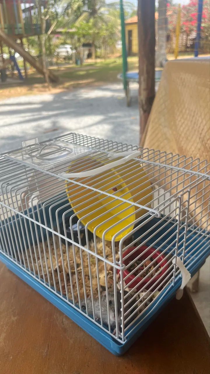 GAIOLA PARA HAMSTER À VENDA! - Foto 2
