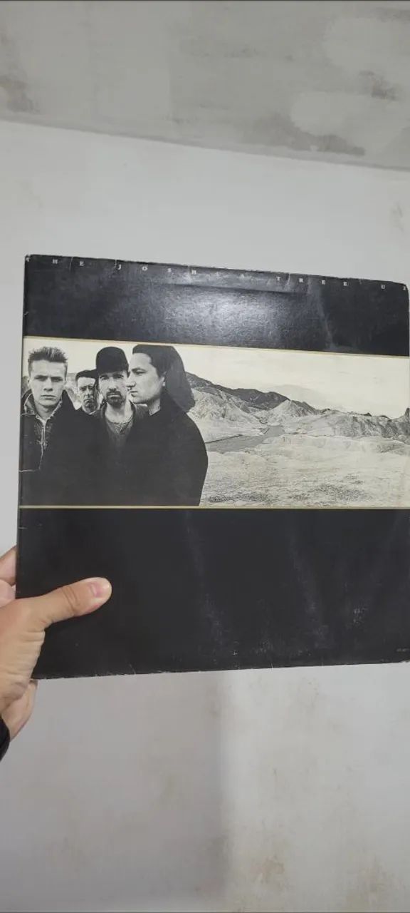 Lote Vinil U2