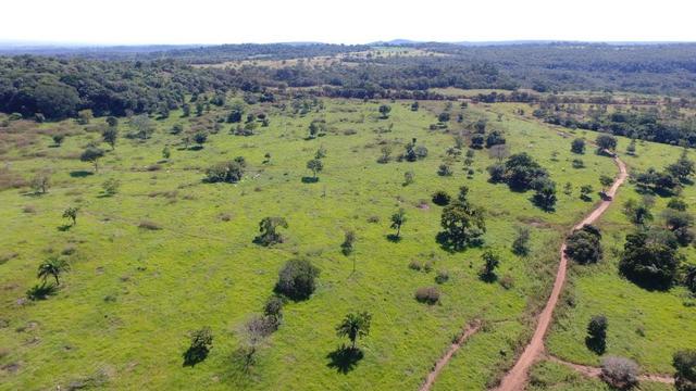 Fazenda Goiás Baliza - Foto 8