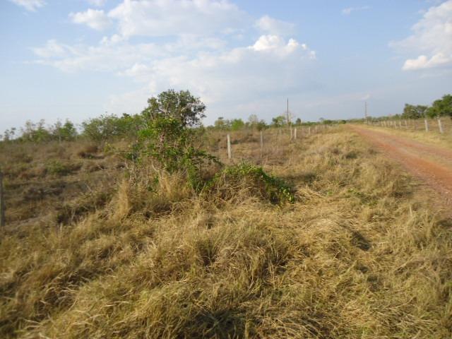 275 hectares,Troco x Fazenda,Chácaras,Condomínios,Região Cuiabá,Santo Antônio-MT - Foto 5