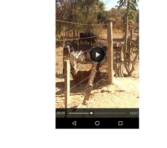 Ocasião,14,95 hectares,porteira fechada,peixes,Novilhas,Santo Antônio-MT - Foto 4