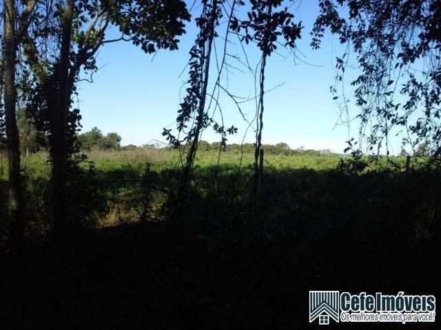 Chácara em Canela com 3 hectares - Foto 6