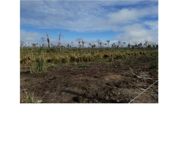 Faço Troca, 990 alqueires, Colniza-MT, 480 alqueires de pasto - Foto 2