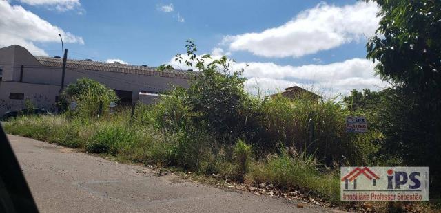 Terreno para alugar, 440 m² por R$ 1.500/mês - Vila Santa Isabel - Campinas/SP - Foto 2