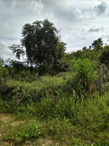 Corumbá III, Chácara Beira Lago - Foto 4