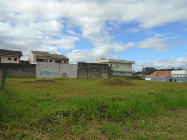 Terreno para alugar em Santa catarina, Joinville cod:08122.003 - Foto 11