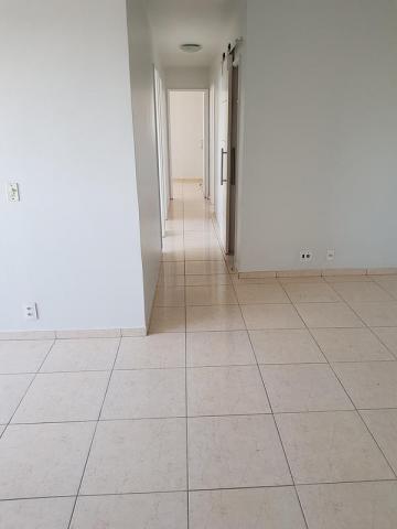 Apto 4 quartos Direto com o Proprietário - Todos os Santos, 7599 - Foto 7