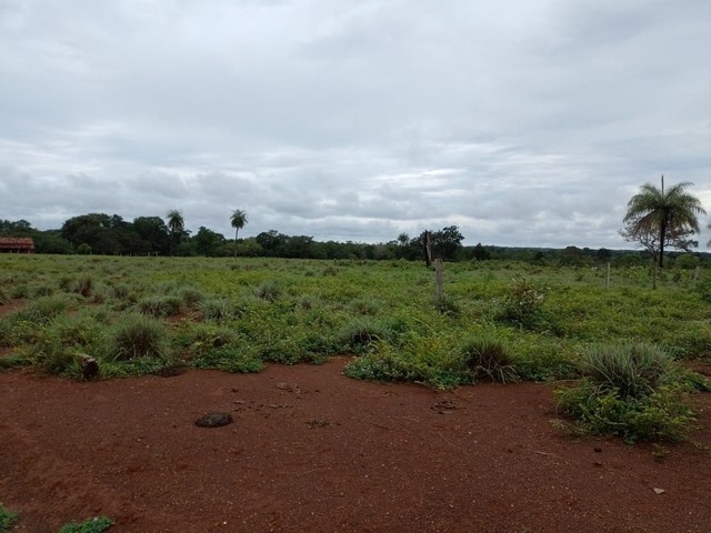 Fazenda em Pium.  - Foto 3