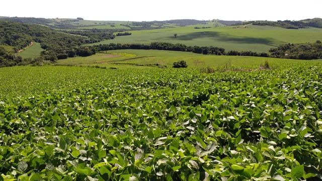 Fazenda em Engenheiro Beltrão PR. - Foto 3
