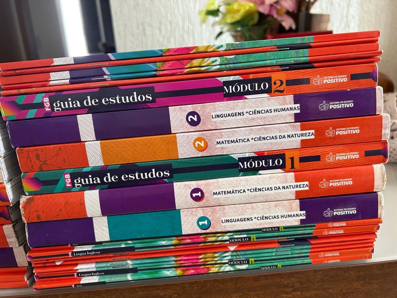 32 Livros Positivo - 1ºAno Novo Ensino Médio - Foto 6