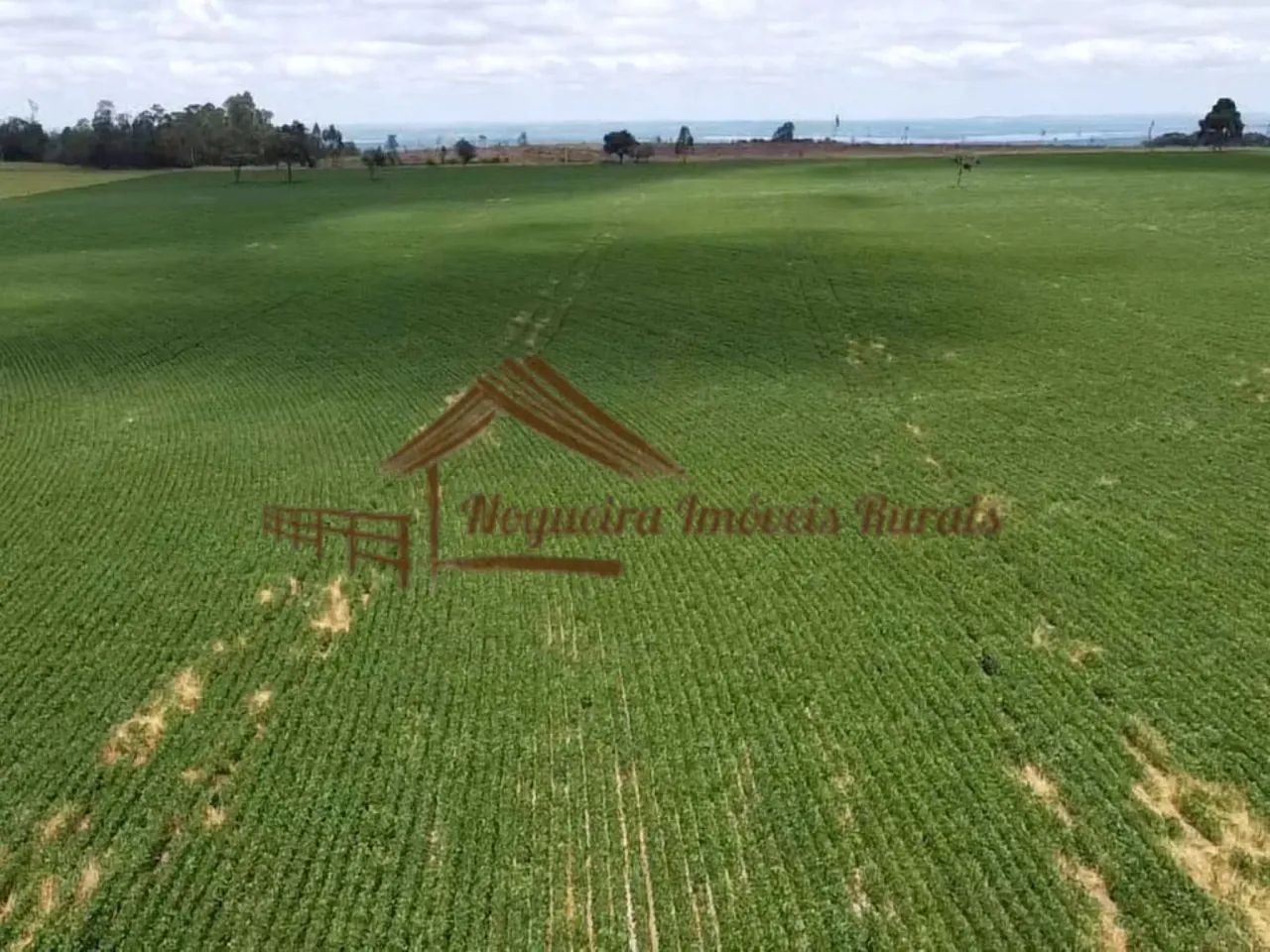 Sítio com 16 Alqueires na Região De Avaré-SP - Foto 9