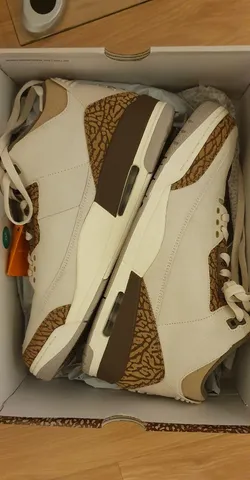 Tenis Jordan retro 3