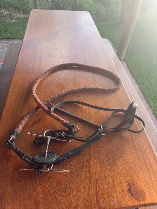 Sela Zamboim nova  - Foto 6