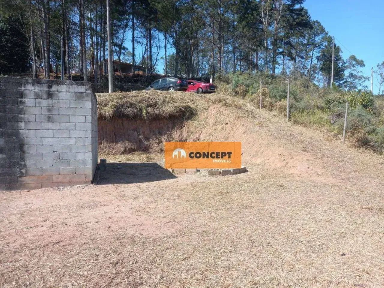 Chácara com 1 dormitório à venda, 1478 m² por R$ 137.000,00 - Clube dos Oficiais - Suzano/ - Foto 9