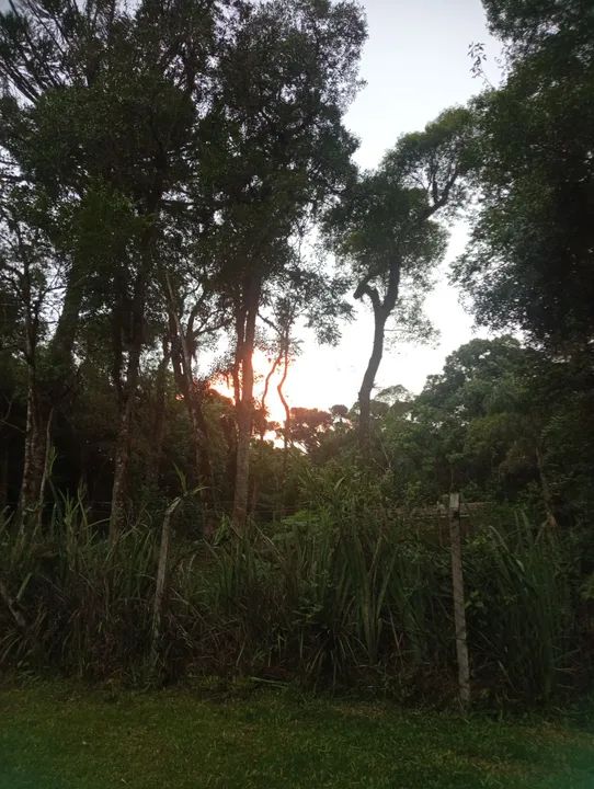 Oportunidade Chácara 1.200 m2 - Foto 6