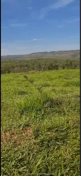 Fazenda próximo pato de minas  - Foto 3