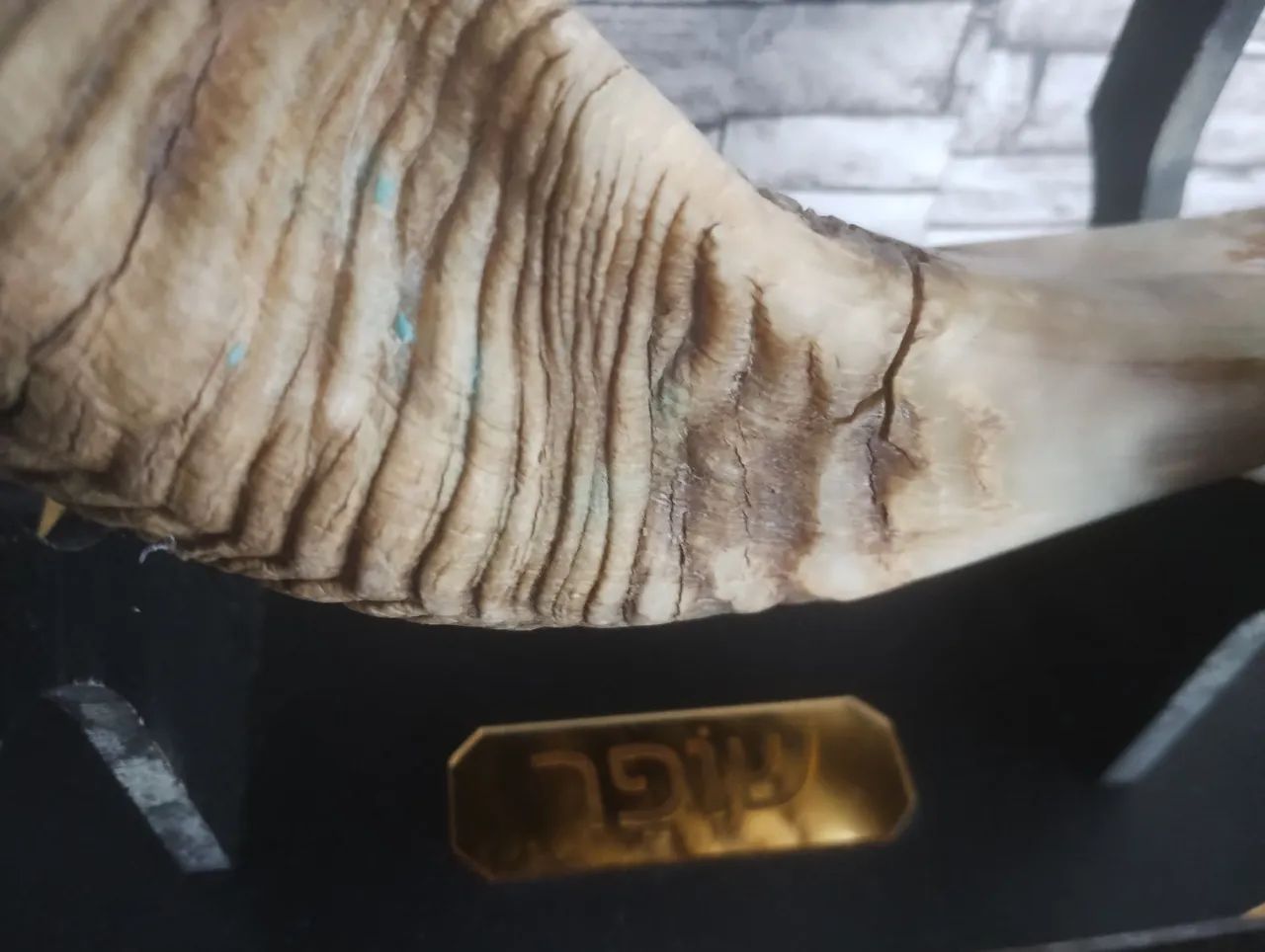 Shofar Camboriú - Foto 3