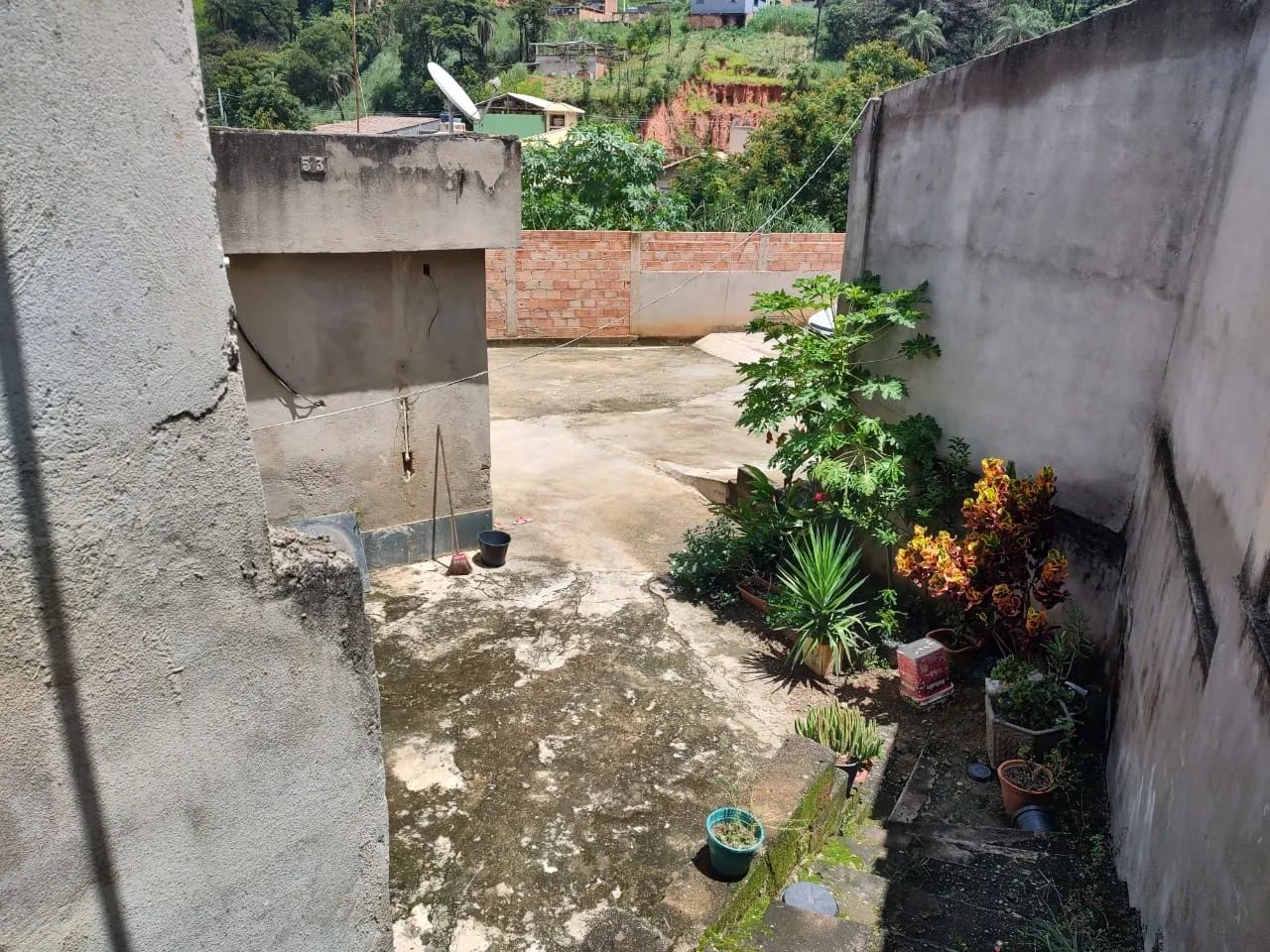 Foto - Belo Horizonte - Beija Flor
