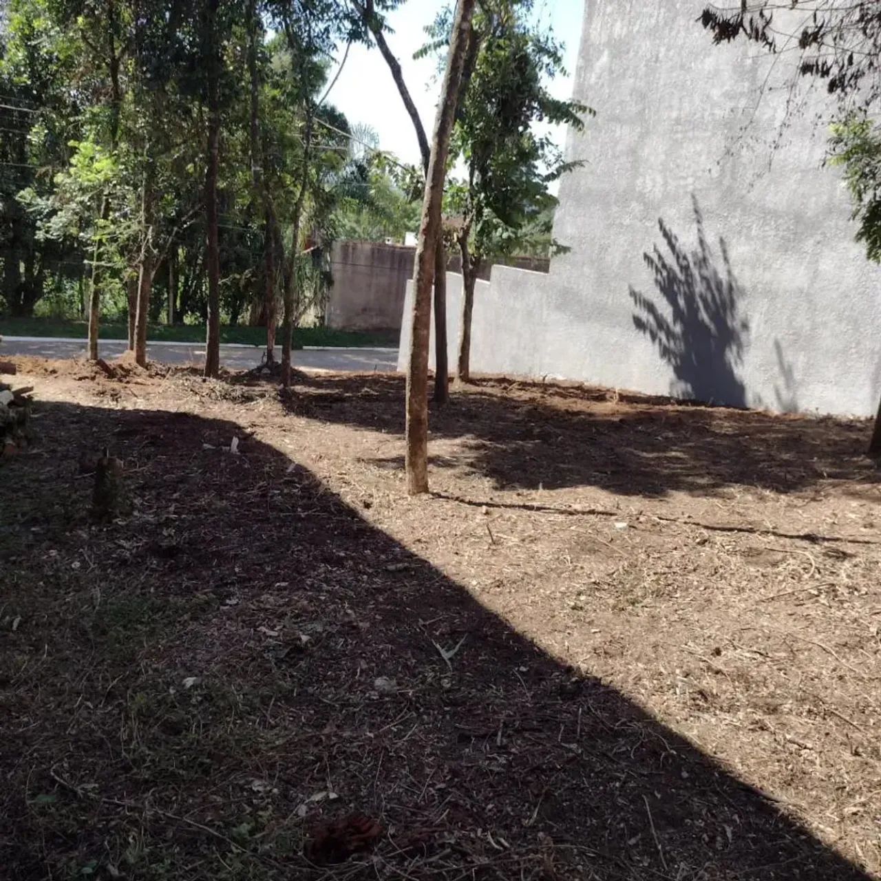 Terreno / Lote / Condomínio - Bairro Cantegril - Foto 2