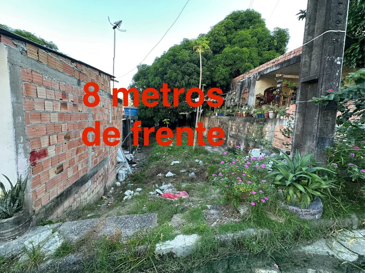 Terreno 8x20 aceito carro, moto ?plano na beira da rua?