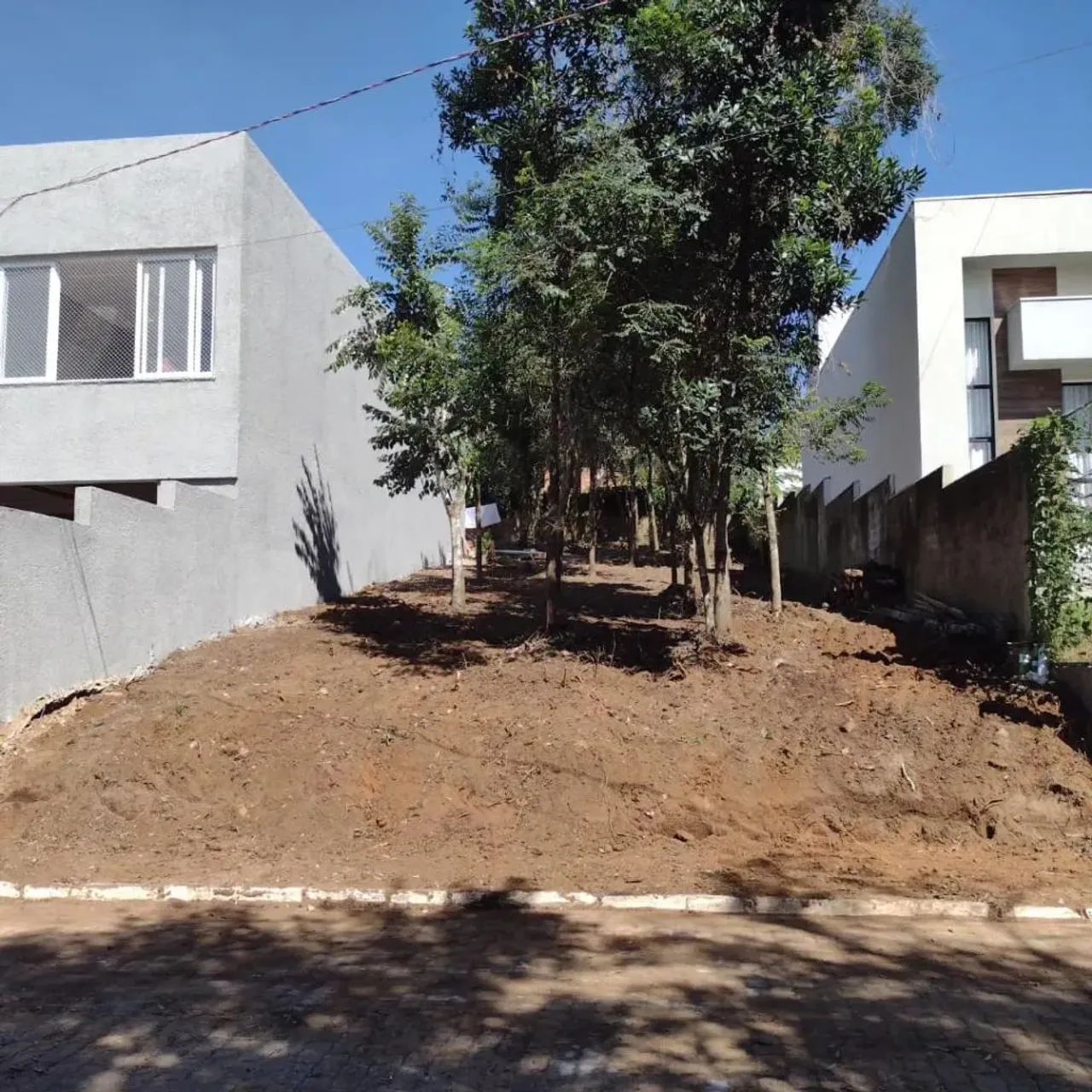 Terreno / Lote / Condomínio - Bairro Cantegril - Foto 4