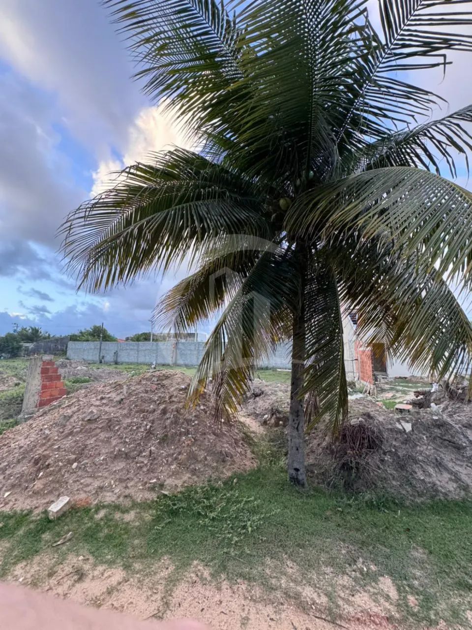 Lote à Venda de 250m² Posição Leste/Norte - Foto 2