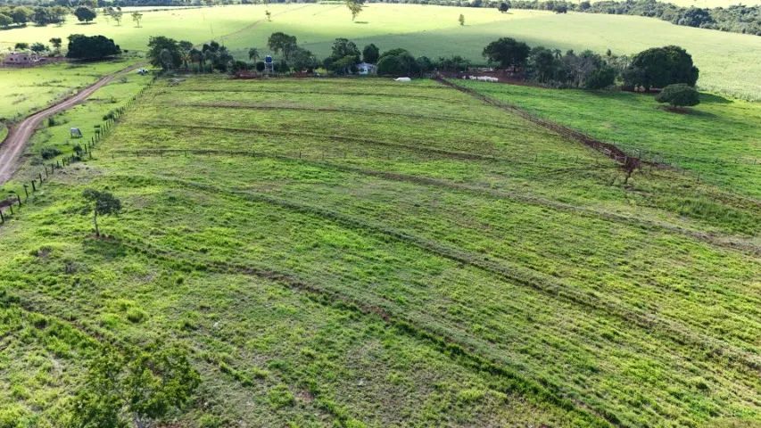 Chácara de 6 Hectares Bem Montada em Jaraguari-MS! - Foto 5