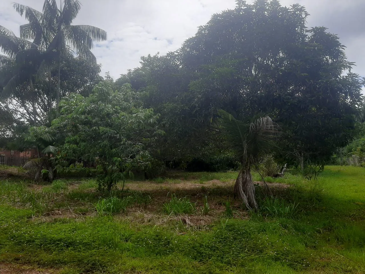 3 terrenos