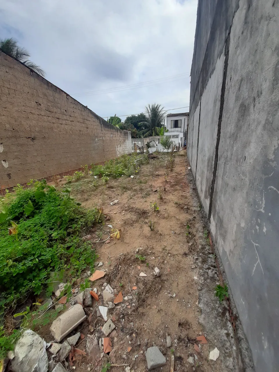 Terreno na cidade universitária próximo ao centro de zoonoses