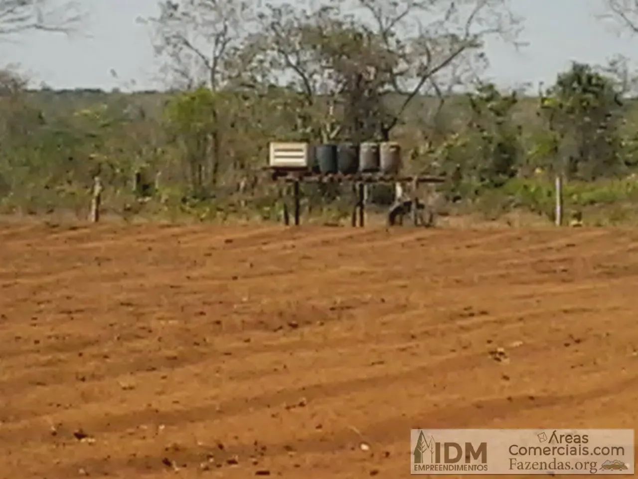 Fazenda agropecuária com 666 ha em Critalândia - TO