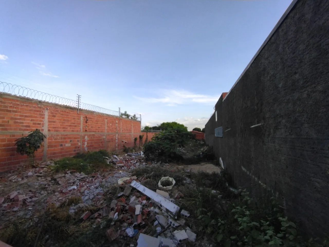 TERRENO - ALUGUEL - Foto 4