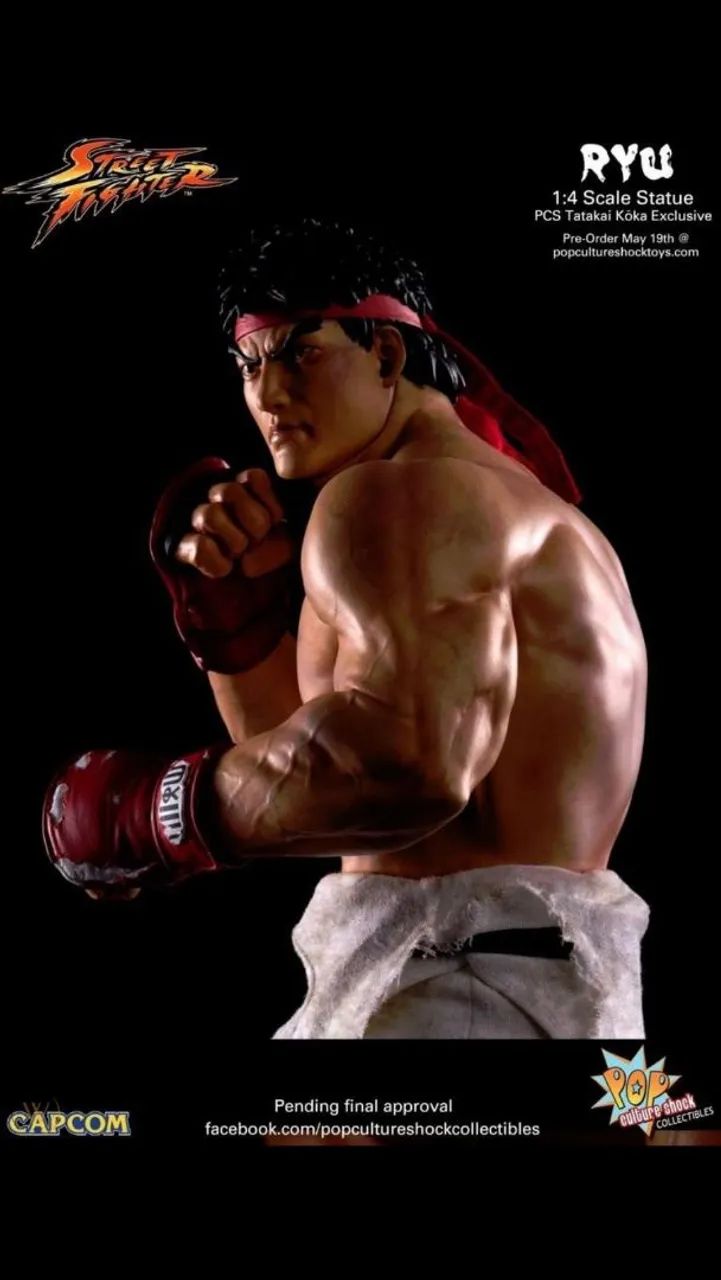 Ryu Battle Damaged PCS Street Fighter